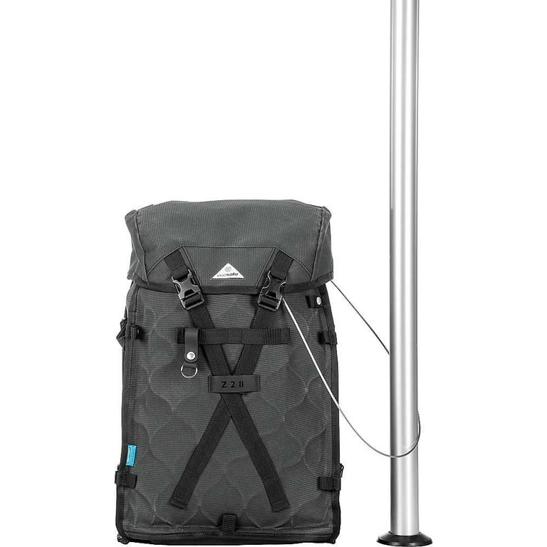 Pacsafe Ultimatesafe Z28 Anti Theft Backpack Walmart