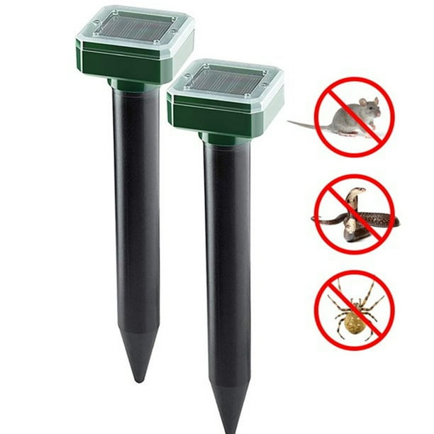 Best Bait Groundhogs