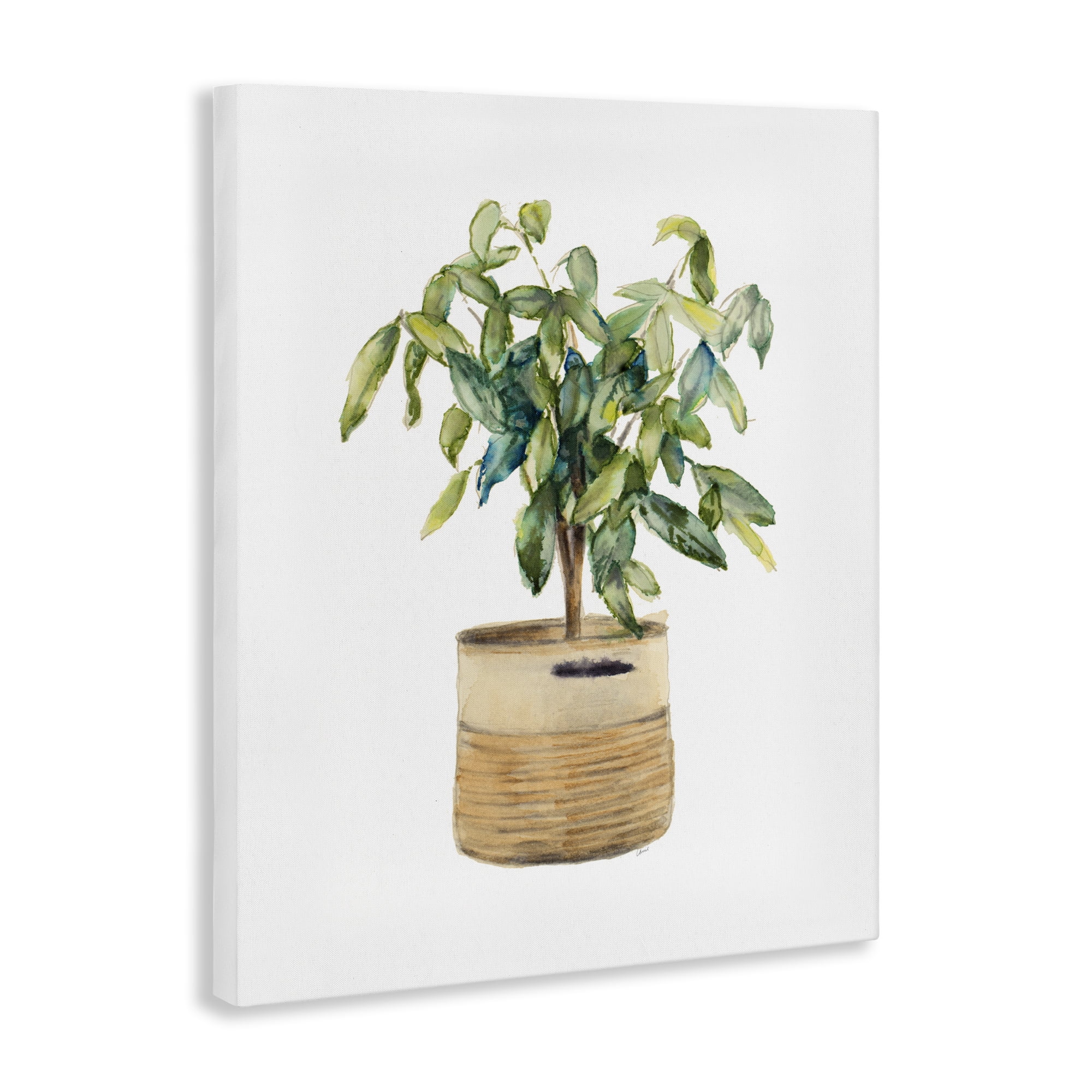 Stupell Industries Potted Plant Greenery Botanical & Floral Painting Gallery Wrapped Canvas Art Print Wall Art, 16 x 20