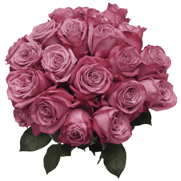50 Stems Of Moody Roses Fresh Flower Delivery Walmart Com Walmart Com