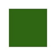 Adorama #31 - Background - seamless paper - 4.3 ft x 36 ft - veri green