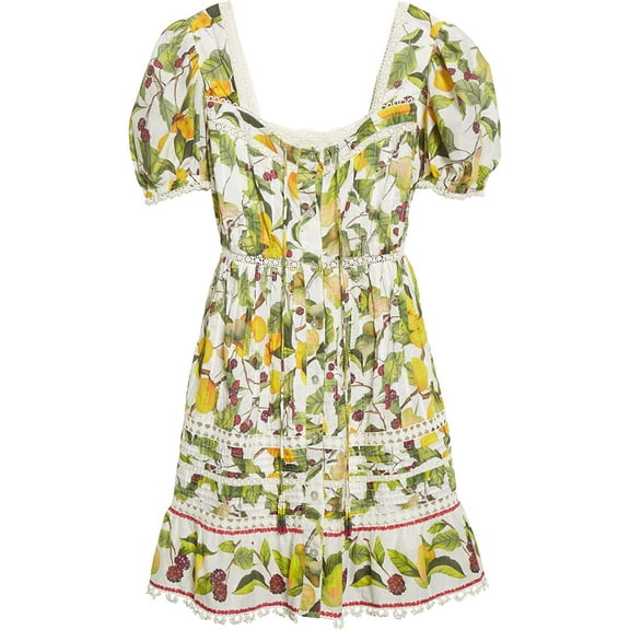 Farm Rio Women's Fruit Orchard Cotton Mini Dress, XL