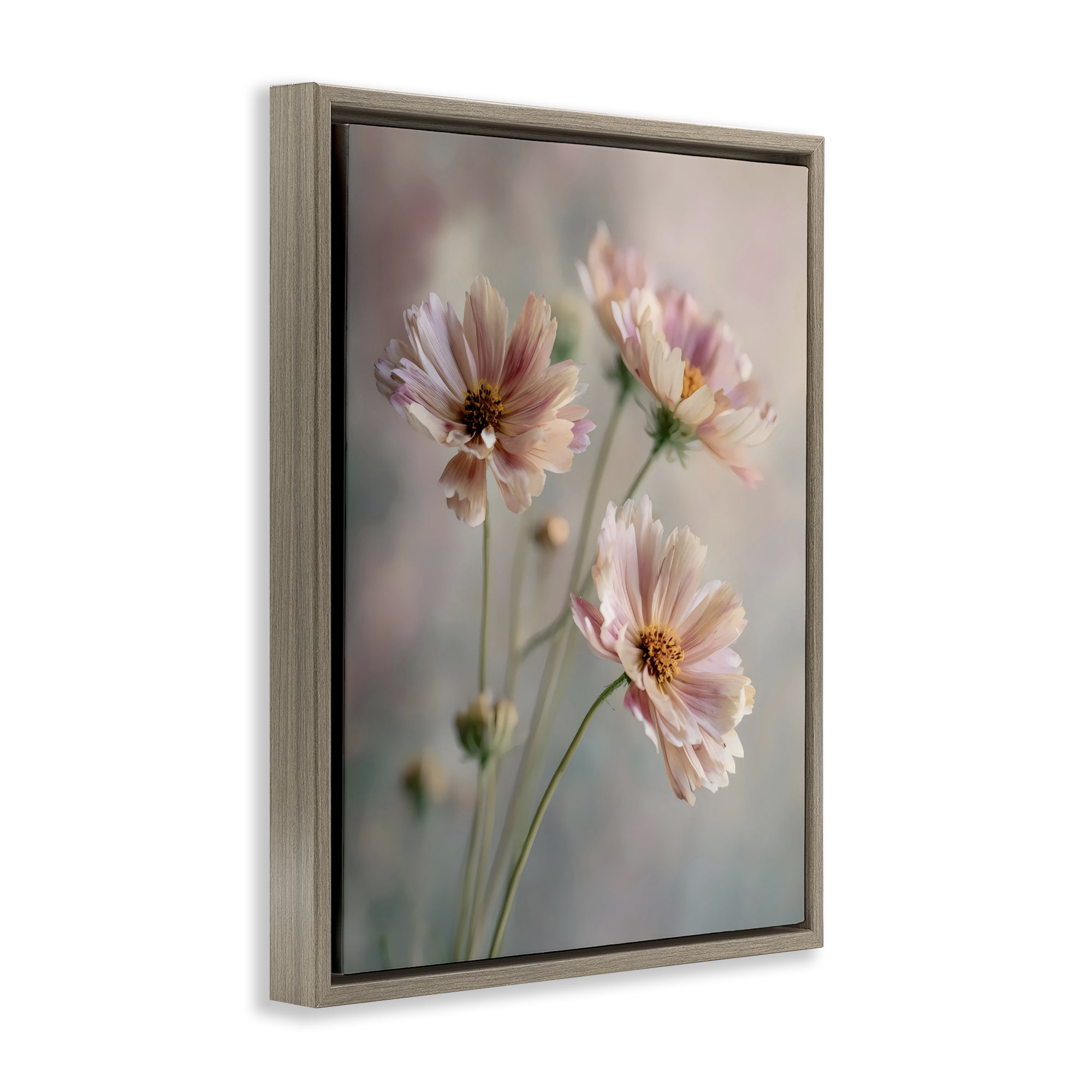 Stupell Industries Pink Daisies Close Up Brown Framed Floater Canvas Wall Art, design by Franklyn Gregory