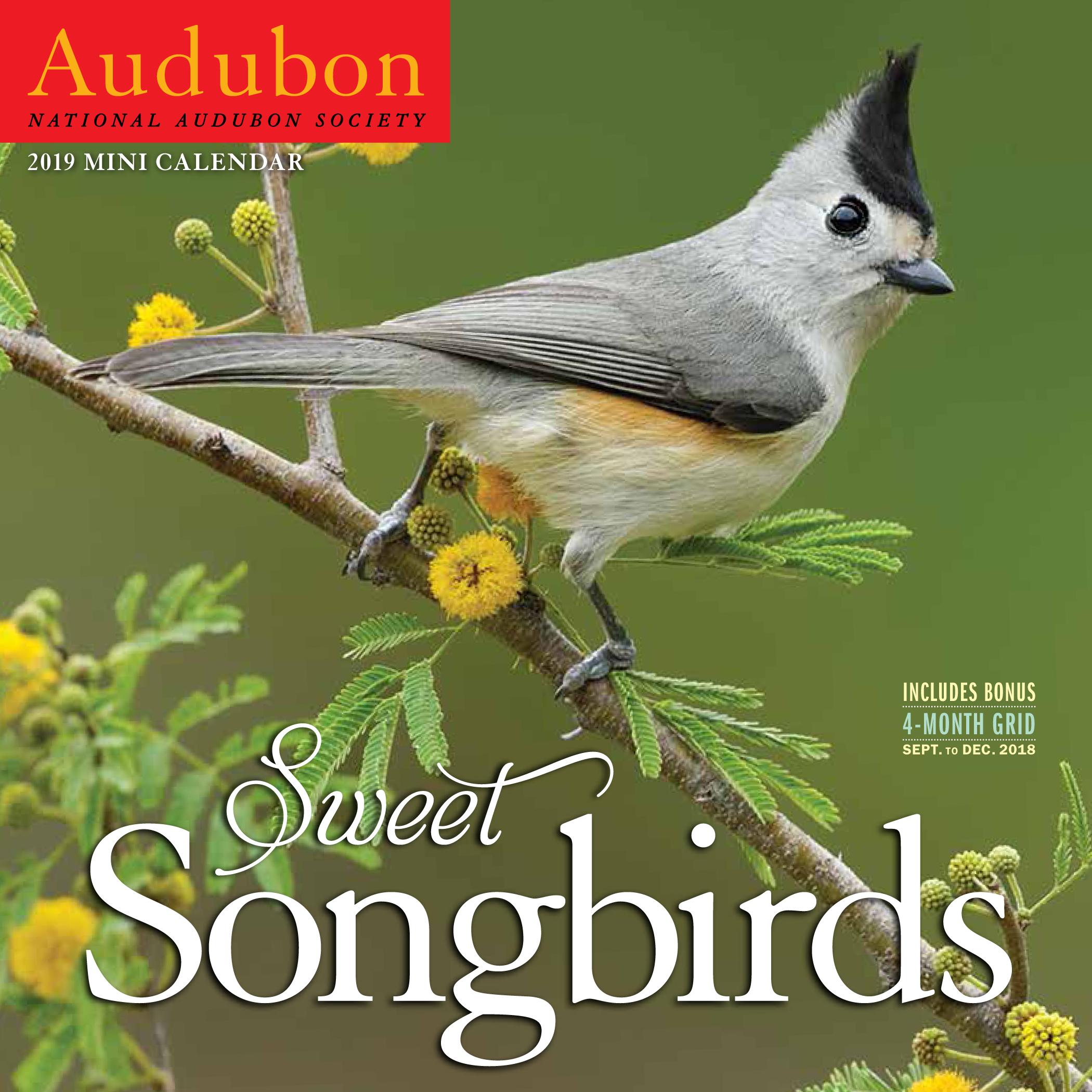 Audubon Sweet Songbirds Mini Wall Calendar 2019 Other Walmart Audubon Sweet Songbirds Mini Wall Calendar 2019 Other Walmart