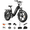 Black, variant on FREESKY 1800W Step-Thru Electric Bike for Adults, 48V 25Ah Samsung Cell Battery 105 Miles 33MPH, 20" Fat Tire Full Suspension Cargo E-Bike, UL2849