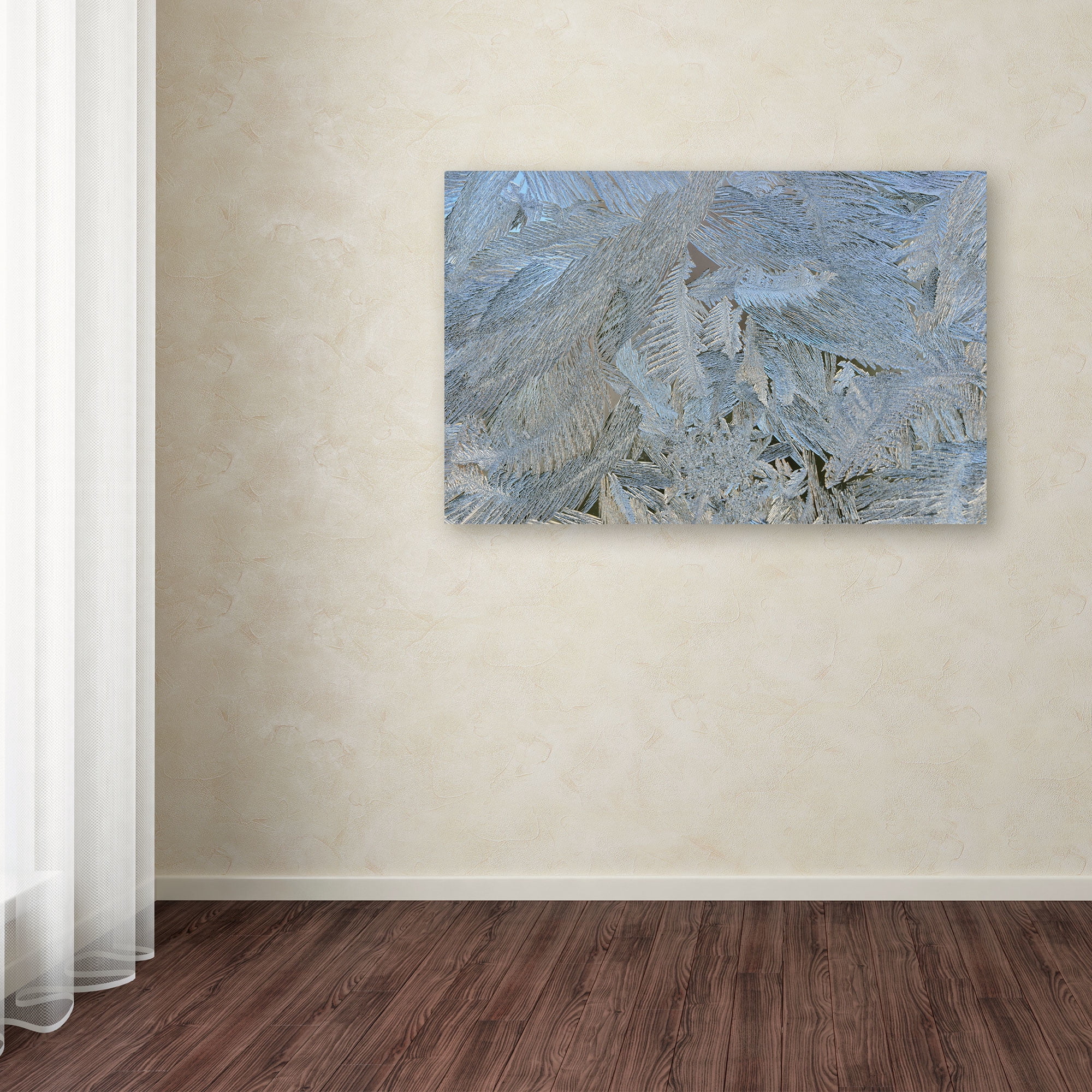 Trademark Fine Art "Frost Pattern #5" Canvas Art by Kurt Shaffer
