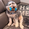 thumbnail image 5 of Mancuerna SPOT Bam-Bones Plus Gigglers para perros, 14 cm, 5 of 5