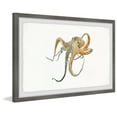thumbnail image 2 of Parvez Taj Lazy Octop Framed Wall Art, 2 of 6