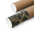 thumbnail image 2 of ELNEIT - Congaree National Park Poster, Unframed Matte Paper, S02, 2 of 4