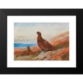 thumbnail image 2 of Archibald Thorburn 18x14 Black Modern Framed Museum Art Print Titled - The Challenge (1917), 2 of 5
