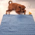 thumbnail image 3 of Lojalitet - Alfombrilla de refrigeración para perros y gatos, no tóxica, para aliviar el calor en verano, 3 of 7