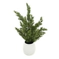 thumbnail image 2 of Holiday Time WW Floral Ceramic Pot, 2 of 6