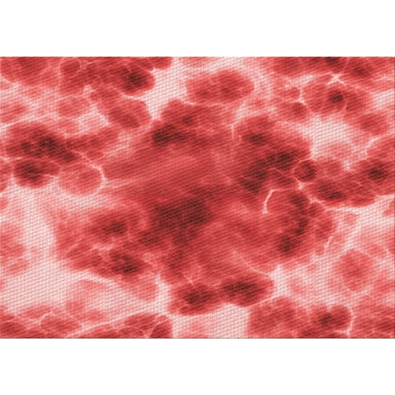 Ahgly Company Indoor Rectangle Patterned Ferrari Red Area Rugs, 3' x 5'