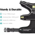 thumbnail image 4 of Arnes Para Perro Grande, Chaleco Ajustable + Correa Talla M, 4 of 5