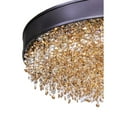 thumbnail image 4 of Maxim Lighting - LED Flushmount - Flush Mount - Mystic-30.8W 11 LED Flush, 4 of 6