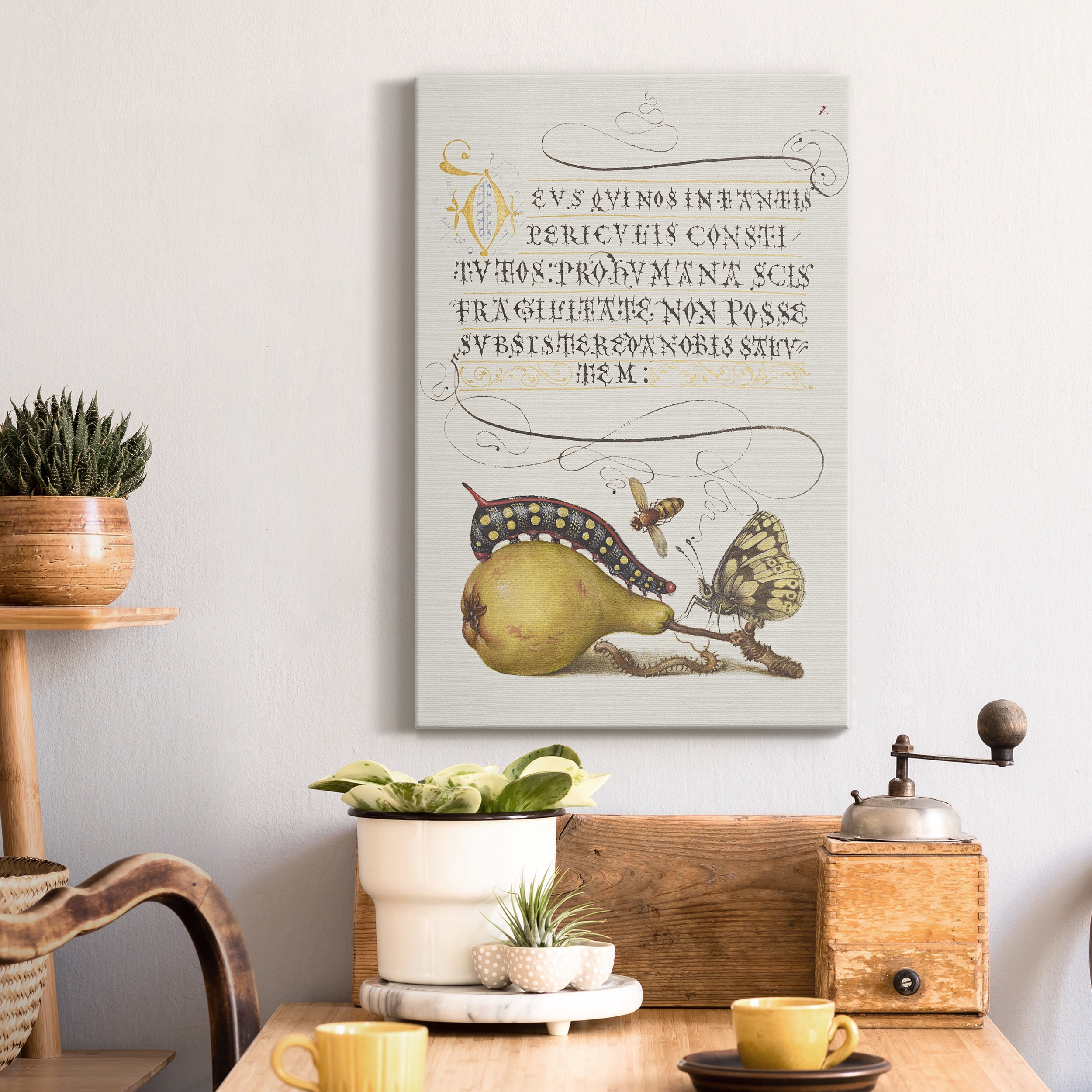 Fly, Caterpillar, Pear, and Centipede Premium Gallery Wrapped Canvas - Ready to Hang - 40 x 60