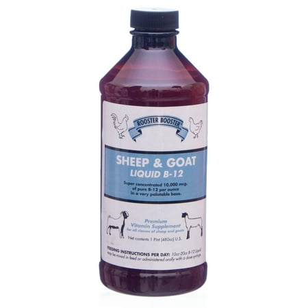 UPC: 0646950503026 | Sheep & Goat Liquid B-12 by Rooster Booster  16 oz