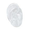 thumbnail image 1 of Modelo de oreja de silicona estructura clara del modelo de oreja humana de silicona de color transparente para la práctica de costura de orejas ANGGREK Otros, 1 of 8