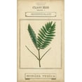 thumbnail image 2 of Vision Studio 16x24 White Modern Wood Framed Museum Art Print Titled - Linnaean Botany IV, 2 of 4
