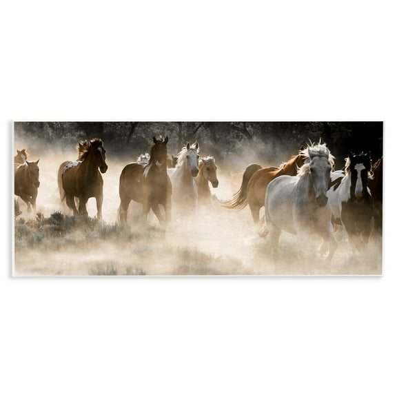 Stupell Industries Striking Horse Herd Galloping Rural Wildlife Photography Photograph Unframed Art Print Wall Art, Design by Danita Delimont