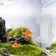 thumbnail image 5 of Tubo alimentador de peces con ventosa para acuario | Anillo de alimentación acrílico Diseño sin desorden | Control de porciones ajustable para peces dorados de camarones tortuga | Accesorio de, 5 of 6