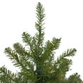 thumbnail image 3 of Northlight Pre-Lit Full Northern Pine Commercial Artificial Christmas Tree - 16' - Clear Lights, 3 of 8