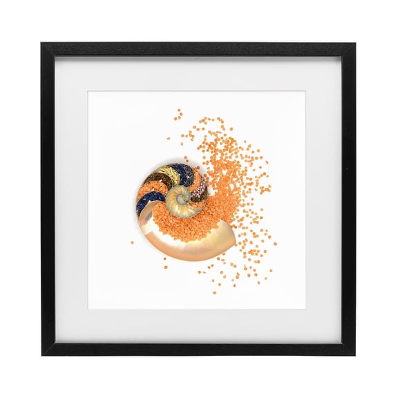Stupell Industries Bohemian Orange Nautilus Spiral Black Framed Print Under Glass, 13 x 13, by Beth Adoette