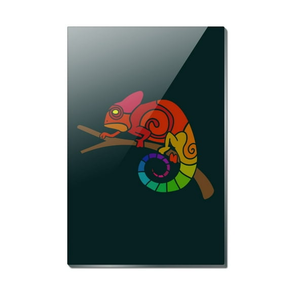 Rainbow Chameleon Rectangle Acrylic Fridge Refrigerator Magnet