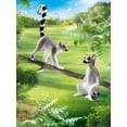thumbnail image 2 of Family Fun: Lemurs, 2 of 3
