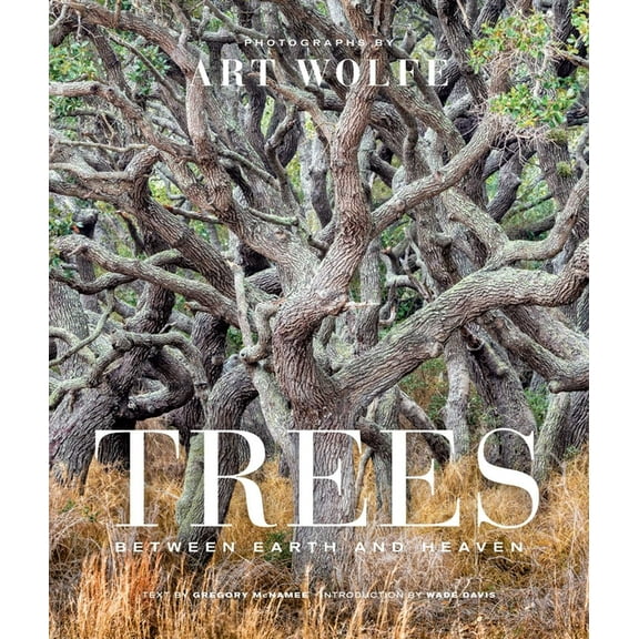 Trees (Gift Edition): Between Earth and Heaven, (Hardcover)