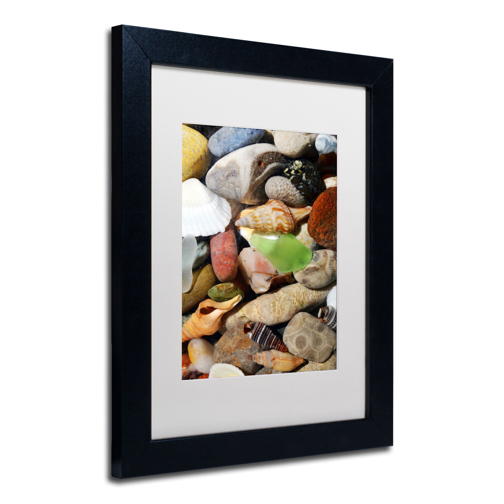 Trademark Michelle Calkins "Petoskey Stones l" Art White Matte With Black Frame 16" x 20"