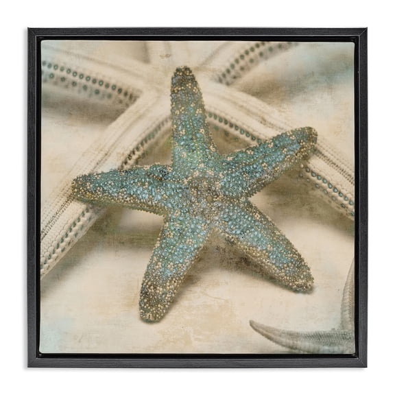 Stupell Industries Coastal Distressed Texture Starfish Black Floating Frame Canvas Art, 18 x 18, by Ziwei Li