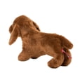 thumbnail image 3 of Peluche para perro Douglas Dilly Dachshund, 23 cm, 3 of 7