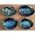 thumbnail image 6 of Wholesale Jumbo Abalone Shell, 7-8" Seashell Incense Burner, Smudge Bowl for Holding Smudge Sticks, Incense, Crafts, Display (3 shells), 6 of 6