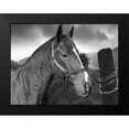 thumbnail image 2 of Phillip, Jamie 24x19 Black Modern Framed Museum Art Print Titled - Field Horse, 2 of 5