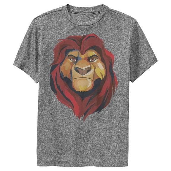 Boy's Lion King Geometric Mufasa Portrait Performance Graphic Tee Charcoal Heather X Large