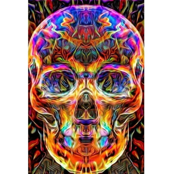 5d Diamond Picture on Canvas, Crystals To Stick on Using The Paint-by-Numbers Principle, Wall Decoration, Motif: Mexican Skull