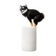 thumbnail image 1 of Dispensador automático de jabón espumoso para perros, 300 ml, impermeable, inteligente, de inducción. negro, 1 of 6