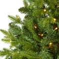 thumbnail image 3 of Nearly Natural 5' Flocked Fraser Fir Artificial Christmas Tree, Prelit with 300 Warm White Lights, 3 of 5