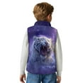 thumbnail image 5 of Xoenoiee Galaxy Tiger Print Boys Polar Fleece Zipper Vest Kids Sleeveless Stand Collar Jacket Outerwear with Pockets for Travel Sports Running, Size 2T, 5 of 7