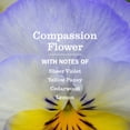 thumbnail image 4 of Mrs. Meyers Clean Day Dish Soap Compassion, 473 ml, 4 of 6