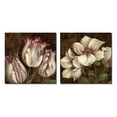 thumbnail image 1 of Trio I - Beautiful, Vintage Purple and White Flowers; Floral Decor; Two 12X12 Poster Prints, 1 of 1