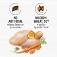 thumbnail image 2 of Beyond Grain Free Farm-Raised Chicken & Egg Recipe, Dry Cat Food 1.36 kg, 2 of 9
