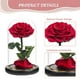 thumbnail image 3 of Base de cubierta de cristal con rosas decorativas de flores eternas con luces, regalos navideños, regalos de cumpleaños para amigos y familiares, 3 of 5