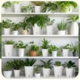 thumbnail image 6 of 18 Pcs Self Watering Pots - 3 Sizes Plastic Flower Plant Pot With Inner White Pot for Indoor House Plants, Herbs and Flowers$$Garden & Patio, 6 of 6