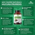 thumbnail image 3 of Mucuna Pruriens Zazzee 1000 mg ánimo Concentración 220 Cápsulas Sabor Sin Sabor, 3 of 3