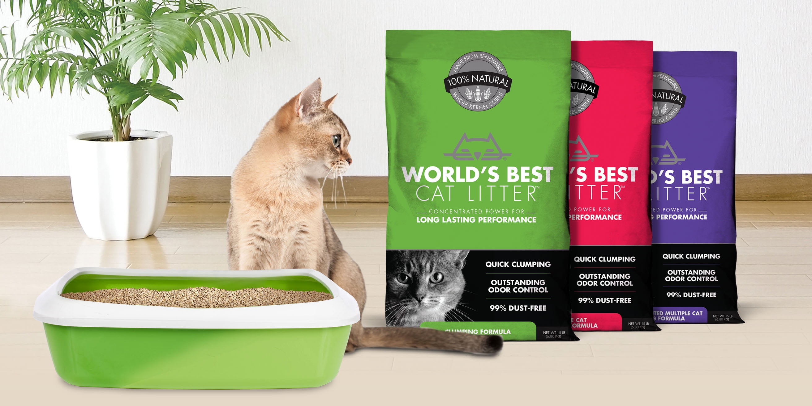Amazing cat litter walmart outlet