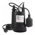 thumbnail image 1 of Bomba Sumergible Para Agua Sucia 1/6 Hp, 1 of 1