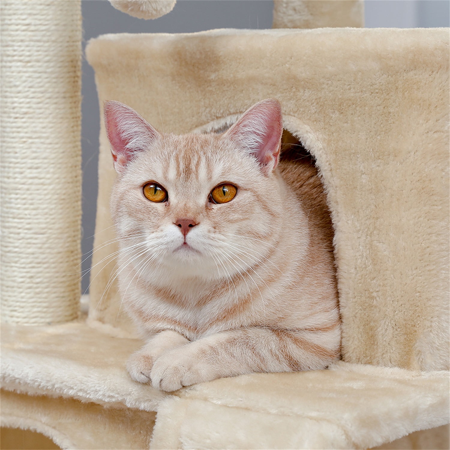 Pefilos 33" Cat Tree Tower for Indoor Cats, Cat Condo with Sisal Scratching Posts, Scratching Board, Plush Perch, Kitty Kitten Play House, Beige Pefilos 33" Cat Tree Tower for Indoor Cats, Cat Condo with Sisal Scratching Posts, Scratching Board, Plush Perch, Kitty Kitten Play House, Beige