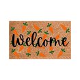 thumbnail image 1 of Tapis d'Entrée Lapin de Pâques pour Porte d'Entrée, Tapis Intérieur Extérieur, Décorations des Fêtes, 1 of 8